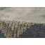 Bristol Oriental Area Rug-2118005560