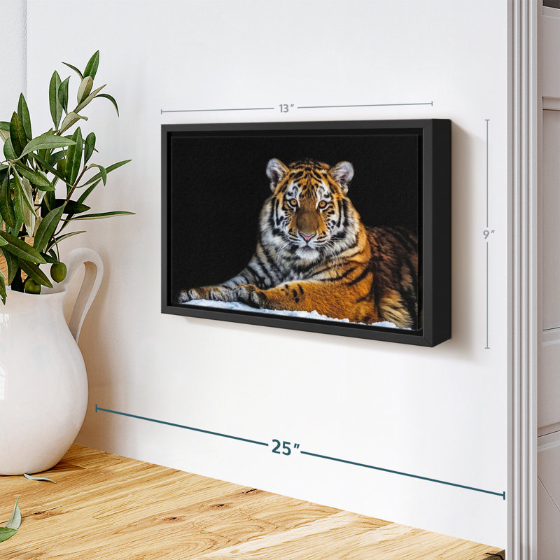 Animal «Snapshot Wall Art», H 9 po x l 13 po