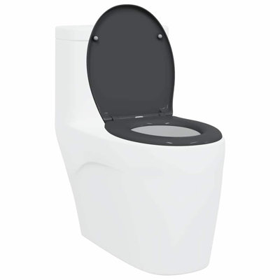 Toilet Seat Duroplast Bathroom Fixture Modern Indoor Home Renovation
