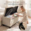 Velvet Upholstered Bench-1557651650