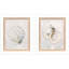 «Serenity Shells I», art encadré