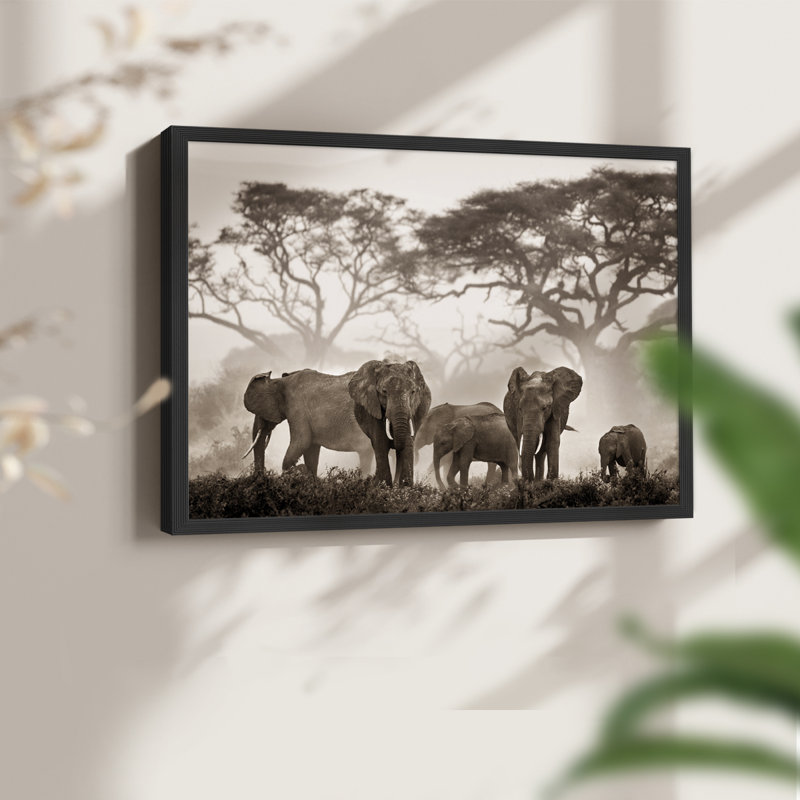 Parc national Amboseli - reproduction encadrée - réarmable, Noir, noir, noir, noir, H 16 po x l 20 po
