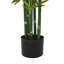 Ensemble de plantes Nadia-132797842-132797843