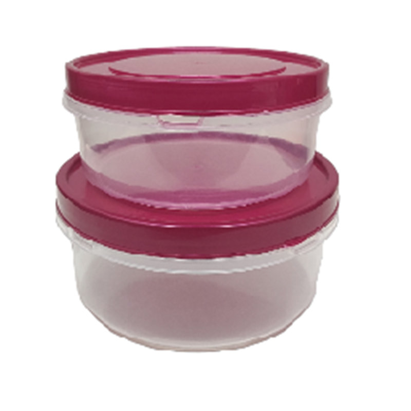 Derekshan Food Storage Container, Maroon