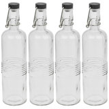 Lark Manor Epps 700ml Double Wall Insulated Glass Water Bottle