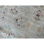 Tapis oriental fin noué à la main beige / rouge / or / bleu clair Sultanabad Oushak