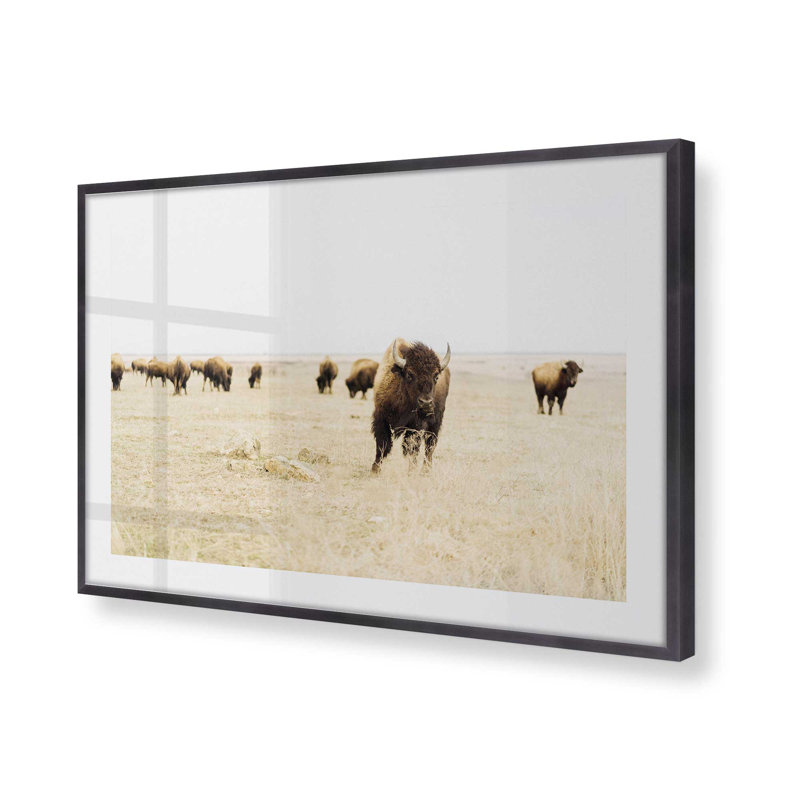 Motif de plaines sauvages, H 17,25 po x l 21,25 po x P 1,25 po, Cadre en zinc patiné