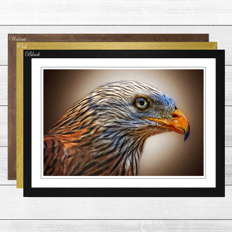 Single Picture Frame Print, Black