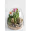  Terrarium en verre géant