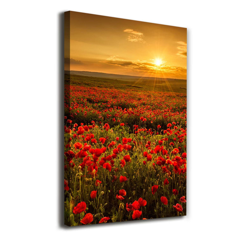 Field Of Poppies - Wrapped Canvas Print