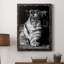 Tiger Repose - photographie avec cadre photo sur toile-798843928-798843930
