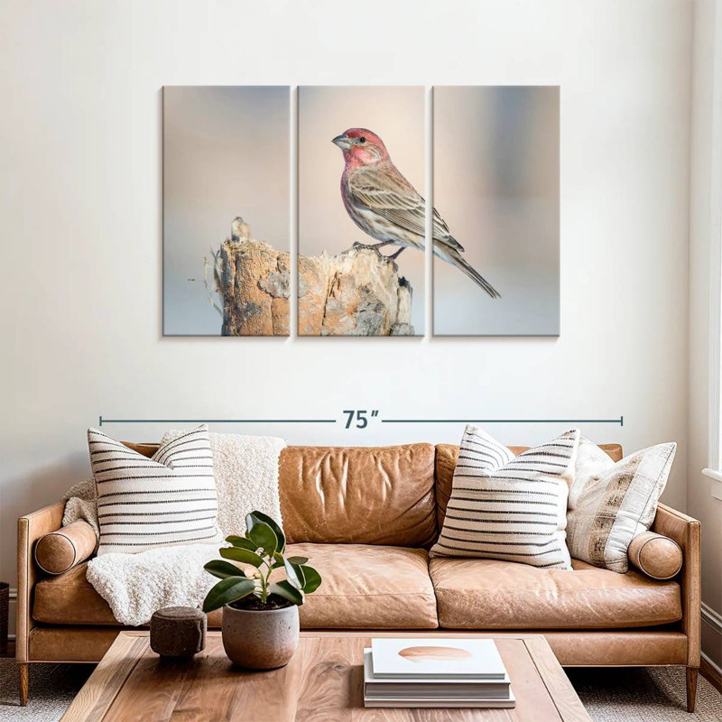 House Finch Bird, 36" H x 57" W