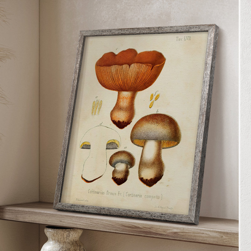 Champignon Variétés I, reproduction encadrée - bois massif, H 11 po x l 9 po