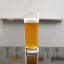 Beer Basic 23 oz. Lager Glass-134724231