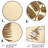 Beige Ferns Plant Timeless Elegance I Plants & Flowers Wall Decor on Metal
