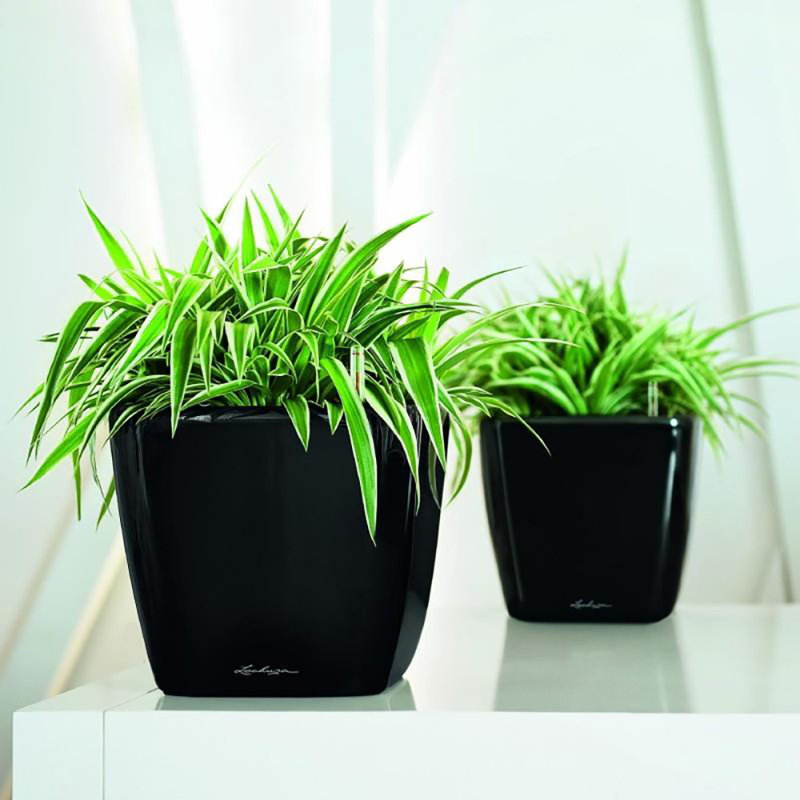 Quadro Premium Pot Planter, Black, 26cm H x 28cm W x 28cm D