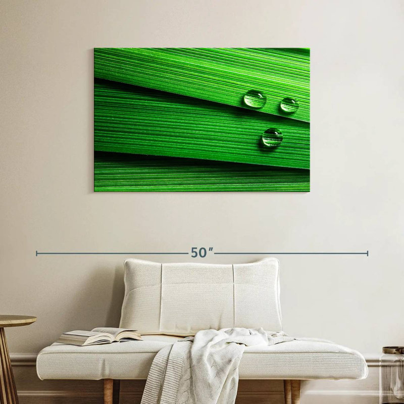 Harnek Droplets On Leaf, 26" H x 39" W