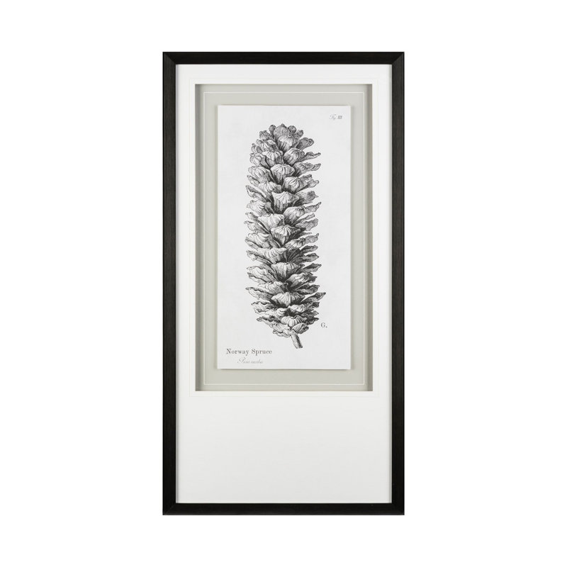 Norway Spruce by Maria Mendez a Framed Art Print Matted under Glass, Swedish Juniper