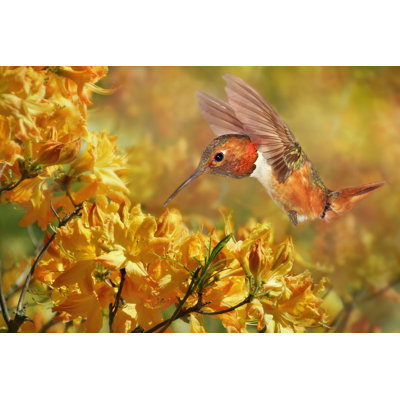 La danse des fleurs