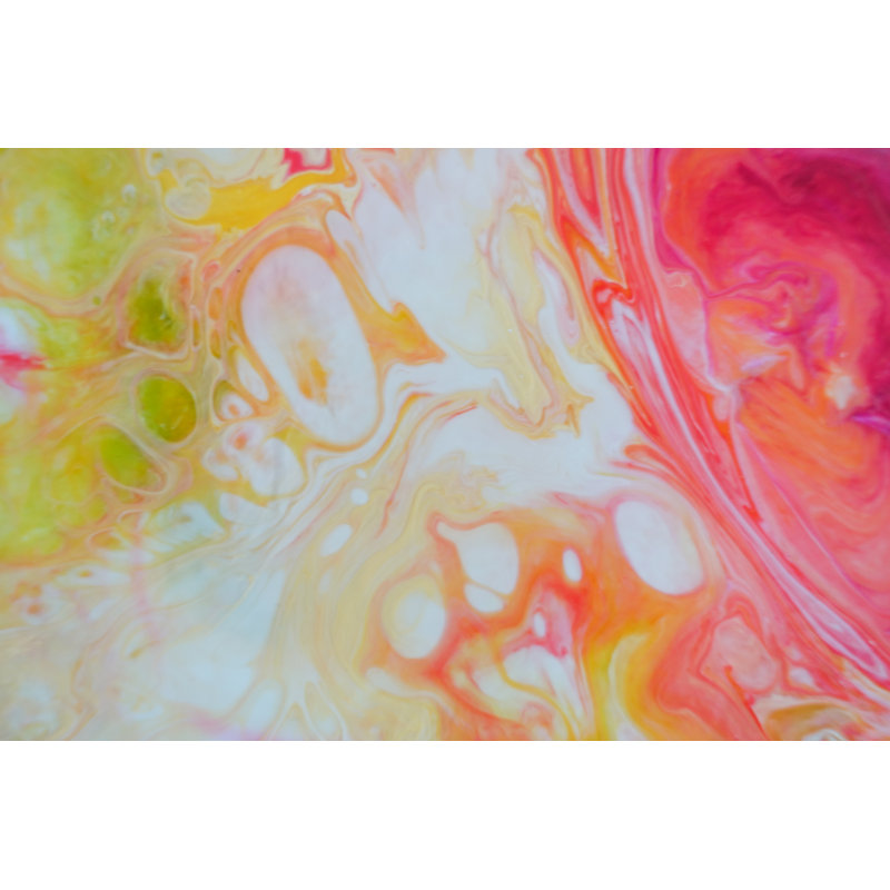 'Sweet Orange' - Wrapped Canvas Painting Print