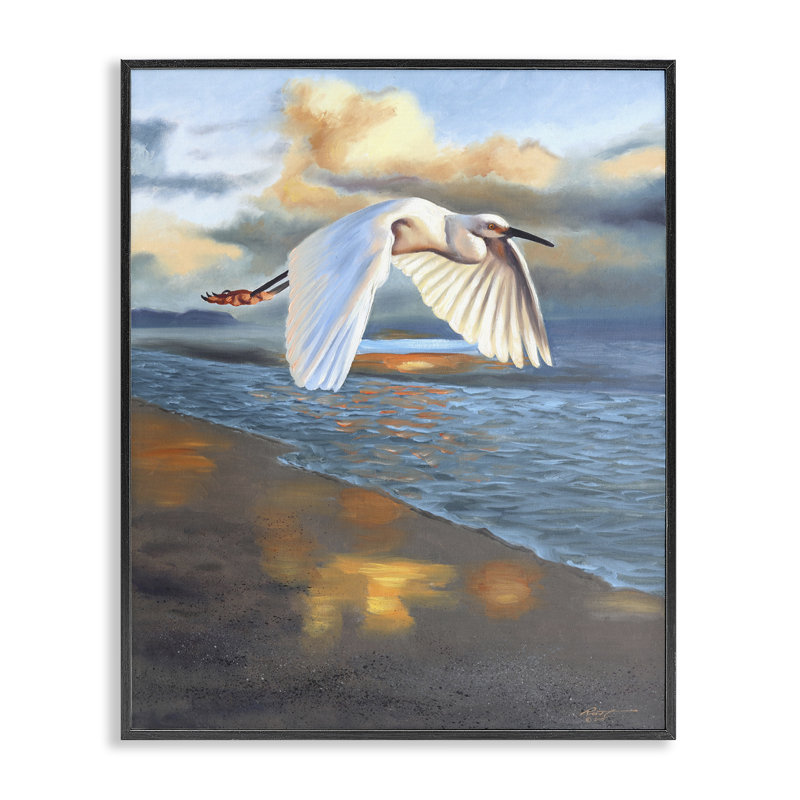 Egret Wingspan au-dessus de la plage, estampe numérique par D. Rust, Giclée encadrée noir minuit, H 14 po x l 11 po