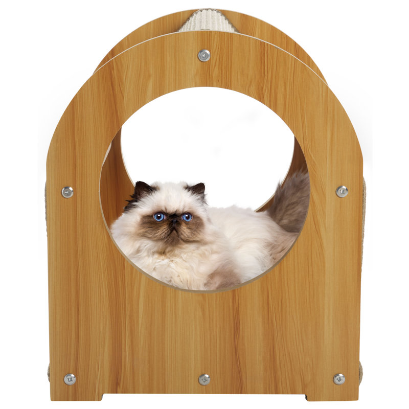 Cat Scratch House