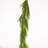 4" Norfolk Pine Christmas Garland