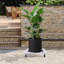 Support pour plante Quintavia-456435579-456435578