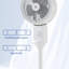 17 Stories Taleia 80cm Fan