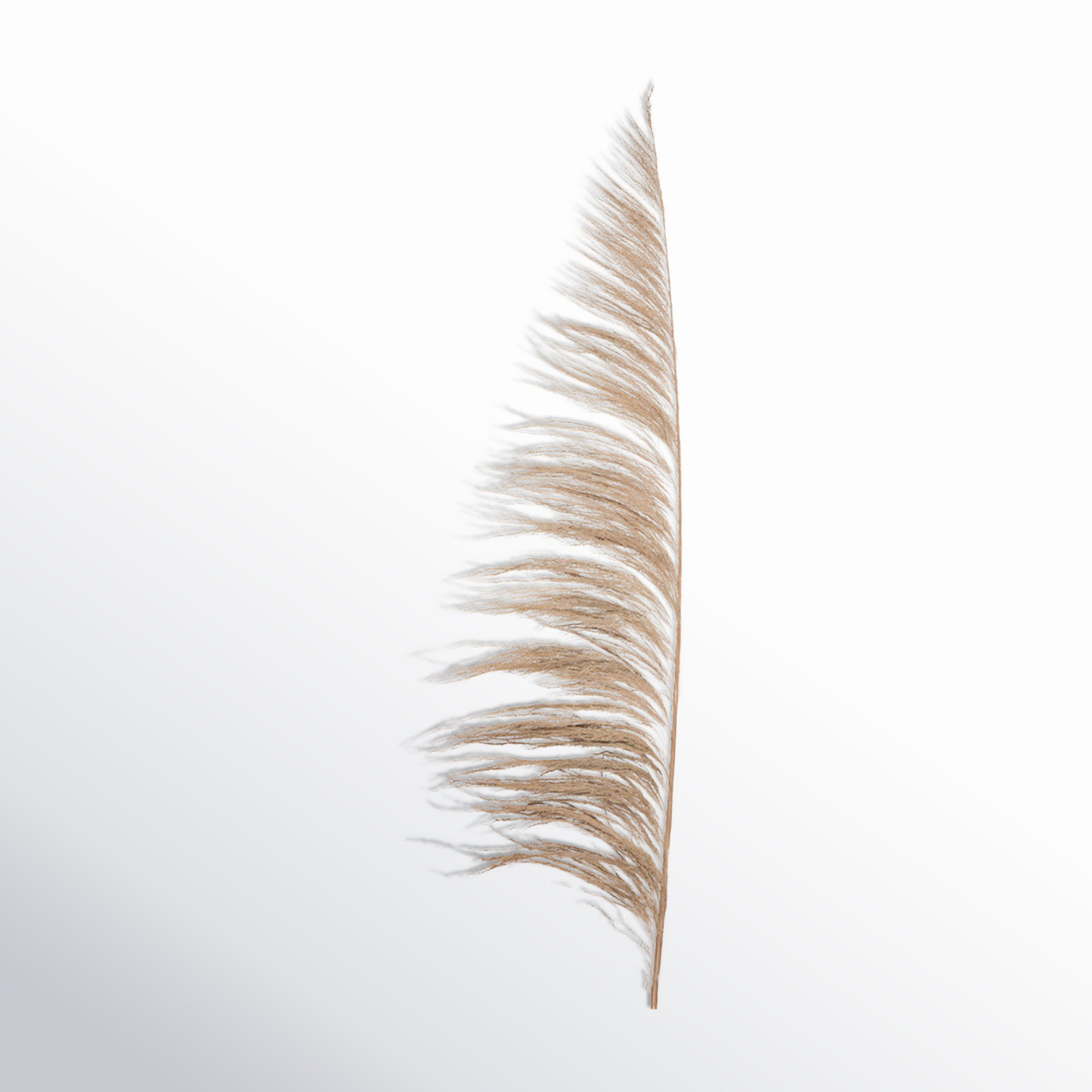 Lei 71'' Palm Plant, Natural