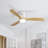 Nicola 52" 3 - Blade LED Standard Ceiling Fan with Remote Control and Light Kit Included-17179094