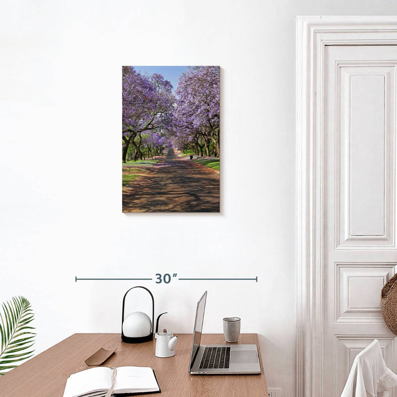 Jacaranda Sireci, H 24 po x l 16 po