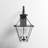 Boto Wall Light-23339297