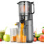 Extracteur de jus à mastication 5,3 po - Presse-fruits à presser à froid pour fruits et légumes entiers, extracteur à haut rendement de 250 W, facile à nettoyer