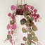 Hanging Plants 90cm Faux Plant in Planter