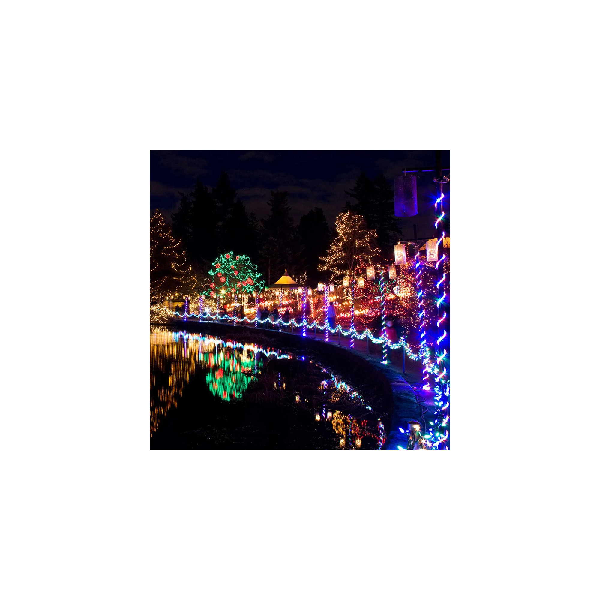 Outdoor LED String Lights with Modes, Multicolor, 787"