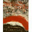 Crowned Print by Blakely Bering-26925863-26925868