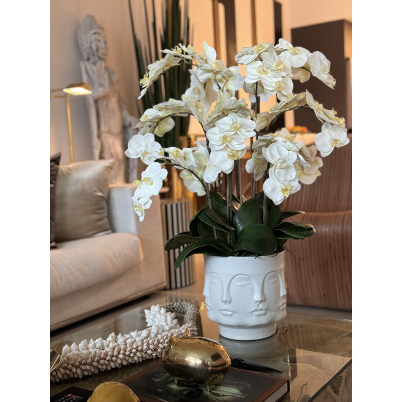 Matte Visage Vase With White Orchids