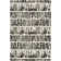 Lipson Wool Oriental Indoor Rug