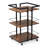 Multi-tier Salon Cart with Universal Wheels and Iron Rail