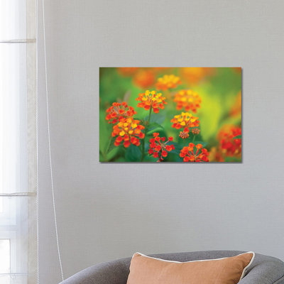 Tunisia 58 by Ben Heine - Wrapped Canvas Print