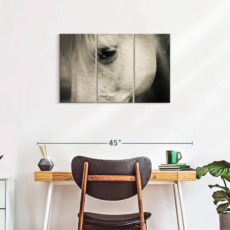Œil de cheval blanc - impression sur toile tendue 3 pièces, H 20 po x l 33 po x P 1,25 po