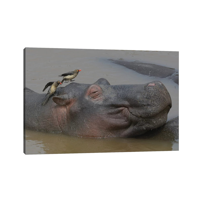 Wellness by Elmar Weiss - Wrapped Canvas Print, 101.6 cm H x 66.04 cm W