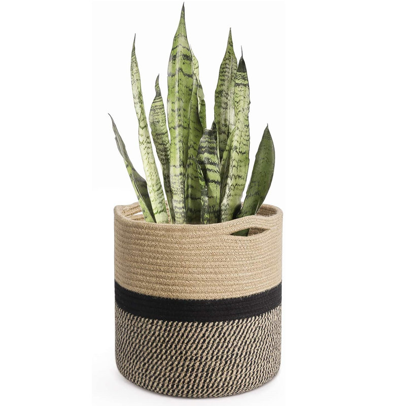 Fabric Laundry Hamper with Handles