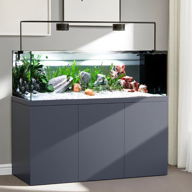 Aquarium moderne en verre ultra-transparent