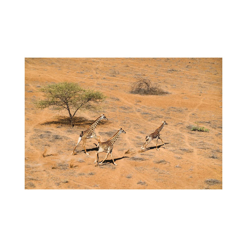 Family Paradise by John Fan - Wrapped Canvas Print