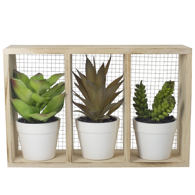 Plantes grasses artificielles en pot 10,75 po dans une boîte en bois