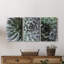 Zen Succulent I - Ensemble de 3 reproductions sur toiles tendues-360759071