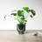 Boho 10" Emerald Ceramic Planter in Mushroom Shape-2016290455