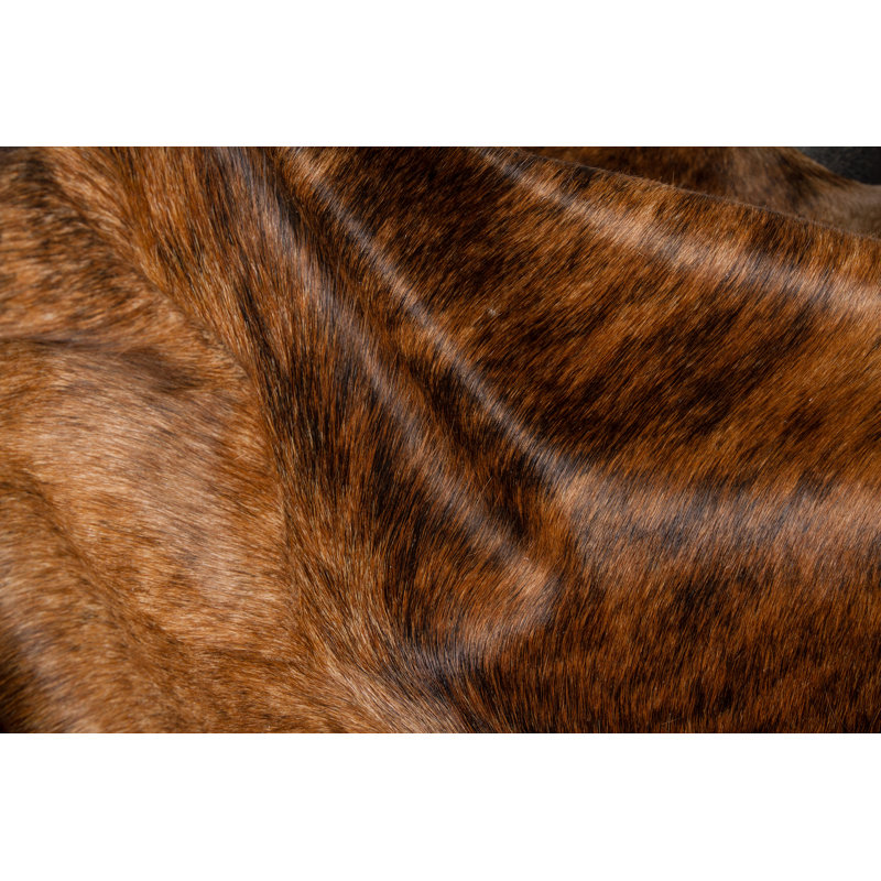 Kobe Performance Cowhide Animal Print Rug